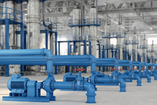Best Plumbing Inspection Services  in Laurel Park, NC